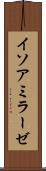イソアミラーゼ Scroll