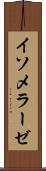 イソメラーゼ Scroll