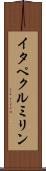 イタペクルミリン Scroll
