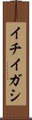 イチイガシ Scroll