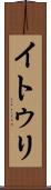 イトゥリ Scroll
