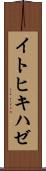 イトヒキハゼ Scroll