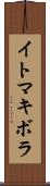 イトマキボラ Scroll
