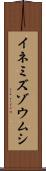 イネミズゾウムシ Scroll