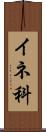 イネ科 Scroll