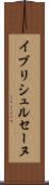 イブリシュルセーヌ Scroll