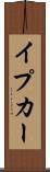 イプカー Scroll
