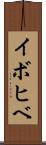 イボヒベ Scroll