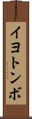 イヨトンボ Scroll