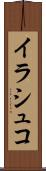 イラシュコ Scroll