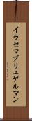 イラセマブリュゲルマン Scroll