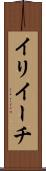 イリイーチ Scroll