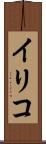 イリコ Scroll