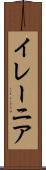 Ylenia Scroll