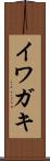 イワガキ Scroll