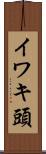 イワキ頭 Scroll