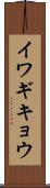 イワギキョウ Scroll