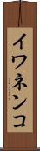イワネンコ Scroll