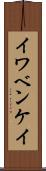 イワベンケイ Scroll