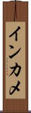 インカメ Scroll