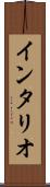 インタリオ Scroll