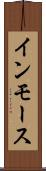 インモース Scroll