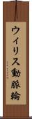 ウィリス動脈輪 Scroll