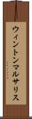 ウィントンマルサリス Scroll