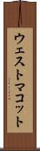 ウェストマコット Scroll