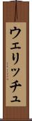 ウェリッチュ Scroll