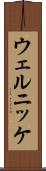 ウェルニッケ Scroll