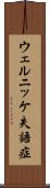 ウェルニッケ失語症 Scroll