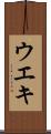 ウエキ Scroll