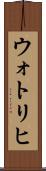 ウォトリヒ Scroll