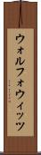 ウォルフォウィッツ Scroll