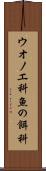ウオノエ科 Scroll