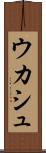 ウカシュ Scroll