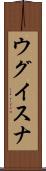 ウグイスナ Scroll