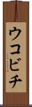 ウコビチ Scroll