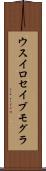 ウスイロセイブモグラ Scroll