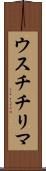 ウスチチリマ Scroll