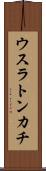 ウスラトンカチ Scroll