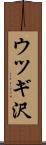 ウツギ沢 Scroll