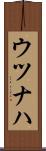 ウツナハ Scroll