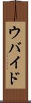 ウバイド Scroll