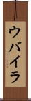 ウバイラ Scroll