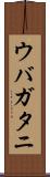 ウバガタニ Scroll