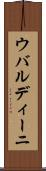ウバルディーニ Scroll