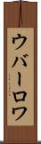 ウバーロワ Scroll