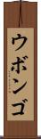 ウボンゴ Scroll
